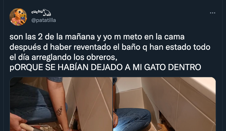 Tuit de @patatilla contando la historia de su gato