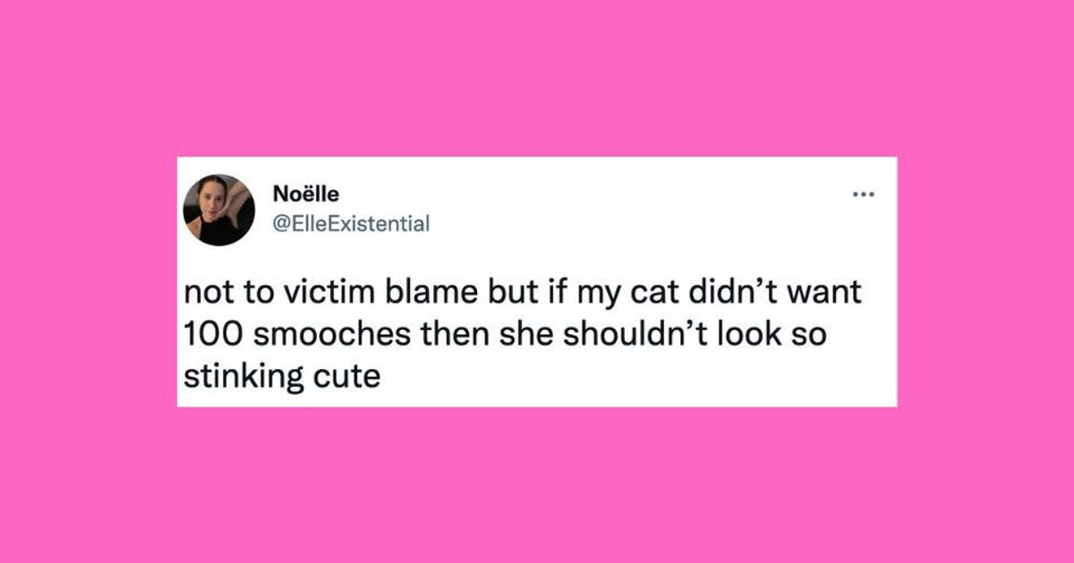 23 Of The Funniest Tweets About Cats And Dogs This Week.jpg