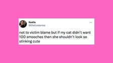 23 Of The Funniest Tweets About Cats And Dogs This Week (Sept. 17-23) 2 632e225f20000036005fe67b