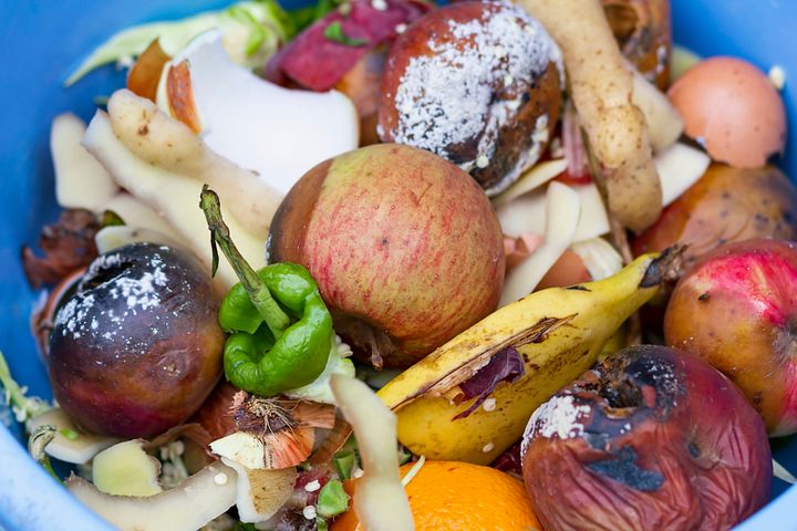 Organic food scraps to compost in a plastic bucket