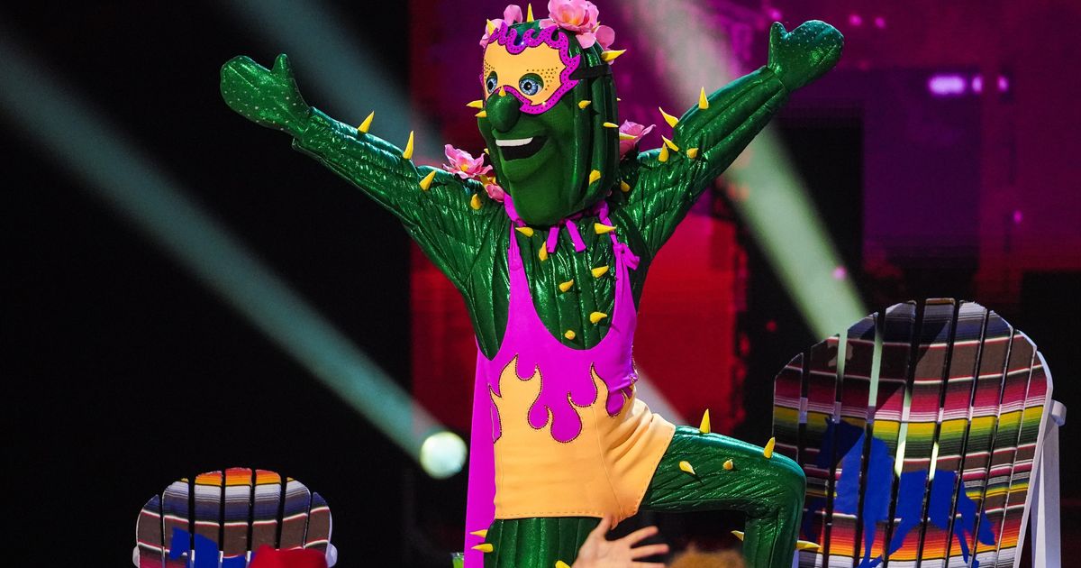 The Masked Singer 2023 LIVE — Fans 'pretend to be shocked' after Anonymouse  is unmasked as voice is 'so recognizable