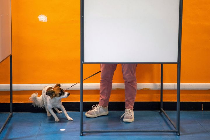 Ένας σκύλος αντιδρά καθώς ο κύριος που τον συνοδεύει ψηφίζει σε ένα εκλογικό τμήμα, στο Τορίνο της Ιταλίας, Κυριακή, 25 Σεπτεμβρίου 2022. Οι Ιταλοί ψήφισαν την Κυριακή σε εκλογές που θα μπορούσαν να μετακινήσουν την πολιτική της χώρας απότομα προς τα δεξιά σε μια κρίσιμη στιγμή για την Ευρώπη, με τον πόλεμο στην Ουκρανία να τροφοδοτεί τους εκτοξευόμενους λογαριασμούς ενέργειας και να δοκιμάζει την αποφασιστικότητα της Δύσης, που παλεύει να σταθεί ενωμένη ενάντια στη ρωσική επιθετικότητα. (Marco Alpozzi/LaPresse via AP)
