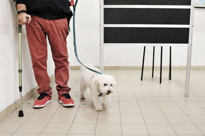 ΛΙΒΟΡΝΟ, ΙΤΑΛΙΑ - 25 ΣΕΠΤΕΜΒΡΙΟΥ: Ένας άνδρας με το σκύλο του φεύγει αφού ψήφισε σε εκλογικό τμήμα στις 25 Σεπτεμβρίου 2022 στο Λιβόρνο της Ιταλίας. Οι πρόωρες εκλογές πυροδοτήθηκαν από την παραίτηση του πρωθυπουργού Μάριο Ντράγκι τον Ιούλιο, μετά την κατάρρευση του μεγάλου συνασπισμού αριστερών, δεξιών και κεντρώων κομμάτων. (Photo by Laura Lezza/Getty Images)