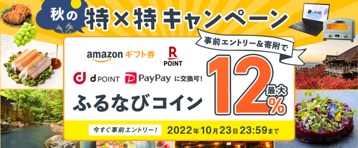 国内正規品】 さとふるふるさと納税 毛呂山町 2023年4月発送開始 定期便 子供に食べさせたい無添加ベーコンハムパンチェッタ全6回 