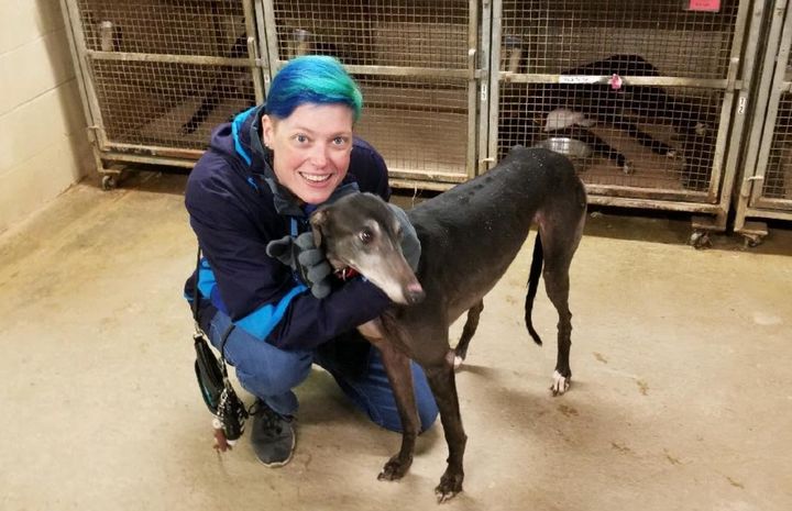 The author with her greyhound Juniper. “My veterinary background was a boon to the rescue organizations I encountered, reassuring them I could provide proper care for the animals I adopted,” the author writes. “This included Juniper, who had hypothyroidism and a Grade III heart murmur. This photo was taken in November 2018 at Project Racing Home in Randleman, North Carolina, the greyhound rescue where we adopted Juniper.”