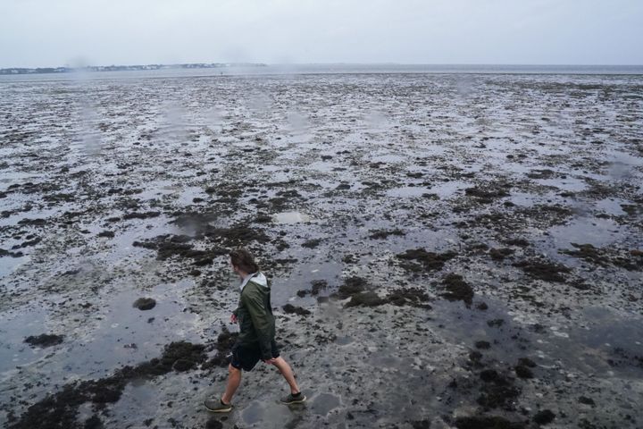 A man walks through the mudflats as the tide recedes from Tampa Bay as Hurricane Ian approaches Wednesday in Tampa, Florida. Ian intensified to just shy of catastrophic Category 5 strength.