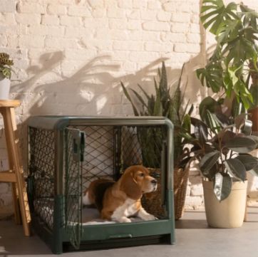 Fable Pets Pet Crate with Acrylic Gate