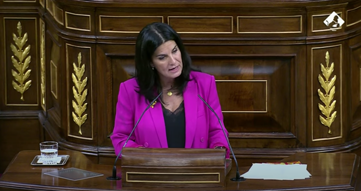 María Ruiz, diputada de Vox, en el Congreso hablando de las empleadas de hogar.