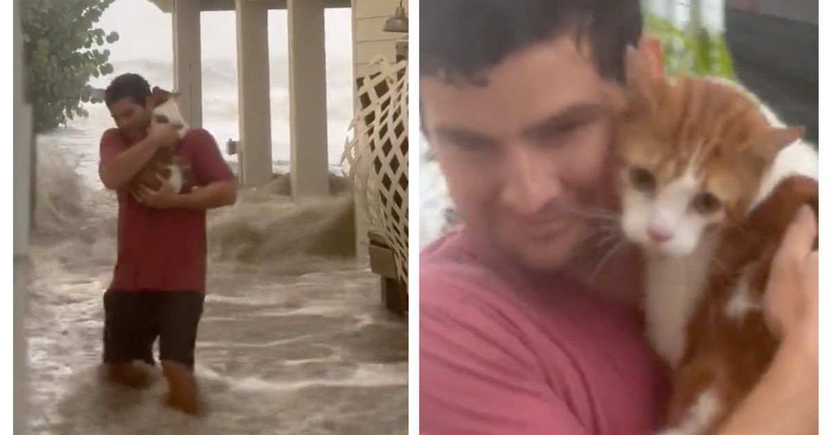 Man Heroically Weathers Hurricane Ian Floodwaters To Save Stranded Cat.jpg