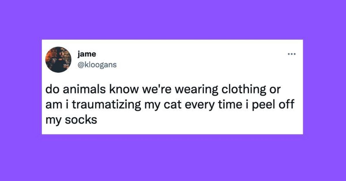 22 Of The Funniest Tweets About Cats And Dogs This Week (Sept. 24-30)
