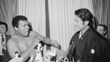 Antonioinoki Antonioinoki