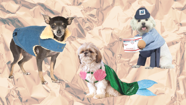 Pet Halloween costumes from Walmart.