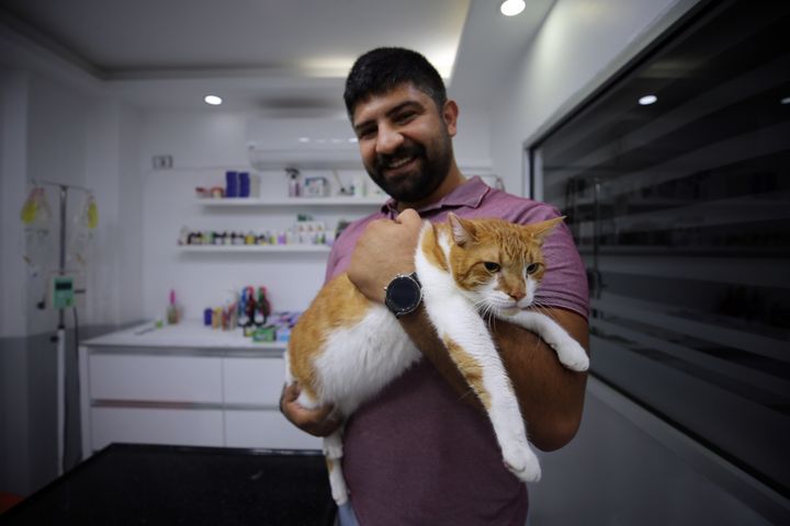 ΤΟΥΡΚΙΑ - 29 ΣΕΠΤΕΜΒΡΙΟΥ: Ένας γάτος, ονόματι Όσκαρ, ζυγίζει πλέον 6 κιλά και 860 γραμμάρια τώρα, όπως τον βλέπουμε στις φωτογραφίες, αφού έχασε 1 κιλό και 640 γραμμάρια με τη μέθοδο «μπότοξ στομάχου» που εφαρμόζεται στους ανθρώπους. (Photo by Ferdi Uzun/Anadolu Agency via Getty Images)