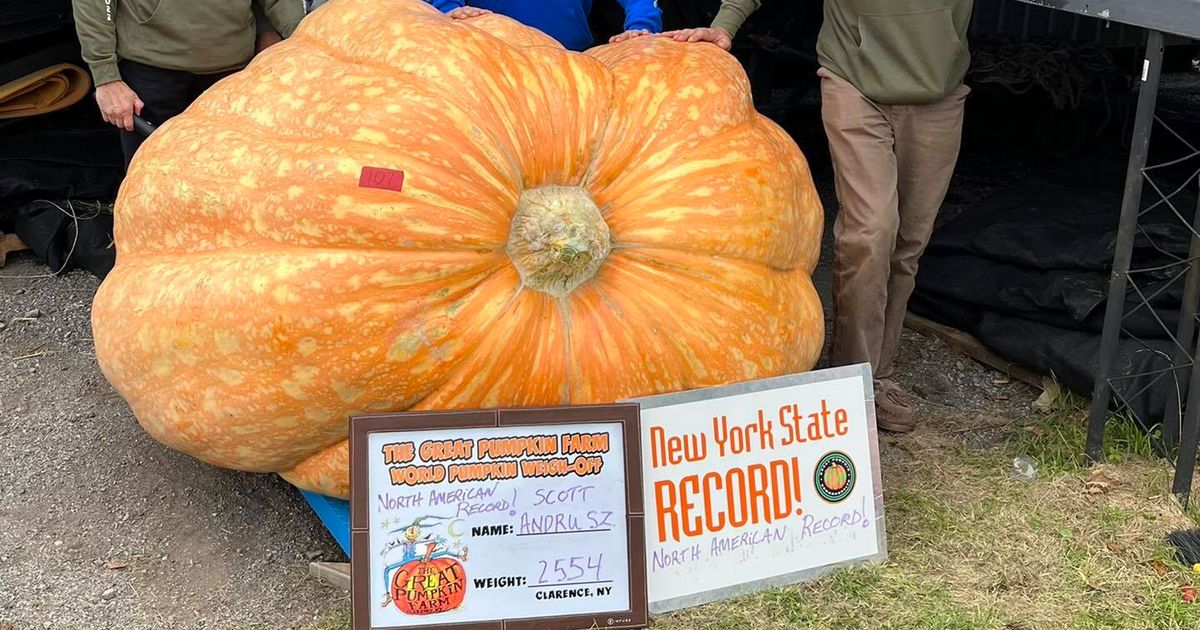 2,500 pound pumpkin breaks record for heaviest pumpkin in North America