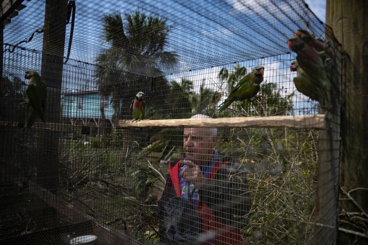 Will Peratino's rare and exotic birds had to be evacuated from his bird sanctuary after Hurricane Ian damaged the property.