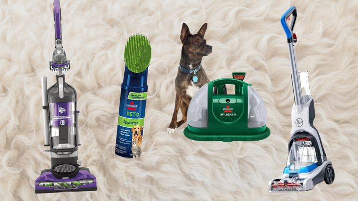 Easily clean up after your pet with these Walmart products.