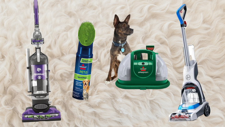 Best cleaning products for dog best sale owners