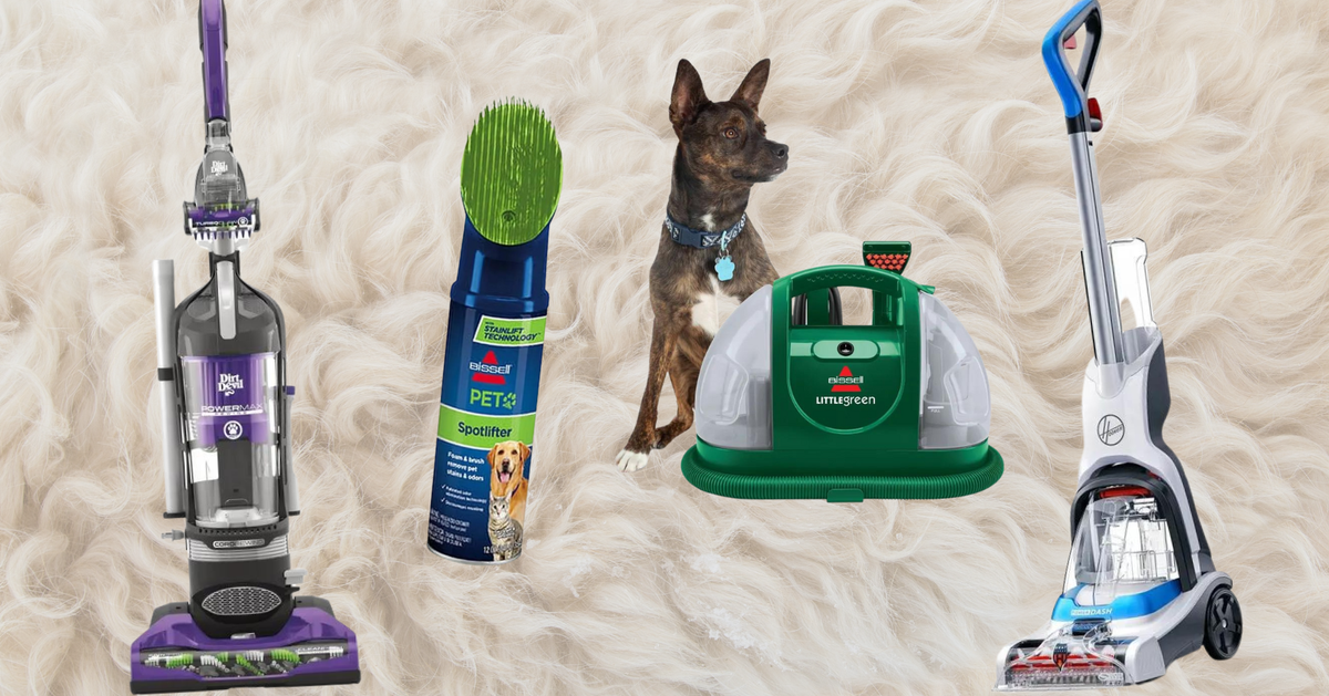 Pet Owners All Of Your Cleaning MustHaves Are At Walmart HuffPost Life