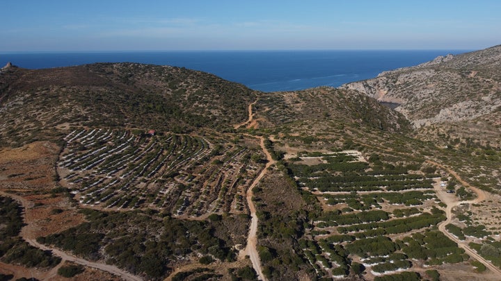 Όλο και περισσότεροι νέοι του νησιού, επιλέγουν να ασχοληθούν με την παραγωγή μαστίχας. Οι πολύ υψηλές τιμές και η διαρκώς αυξανόμενη ζήτηση μαστίχας έχει κρατήσει την νεολαία στη Χίο.