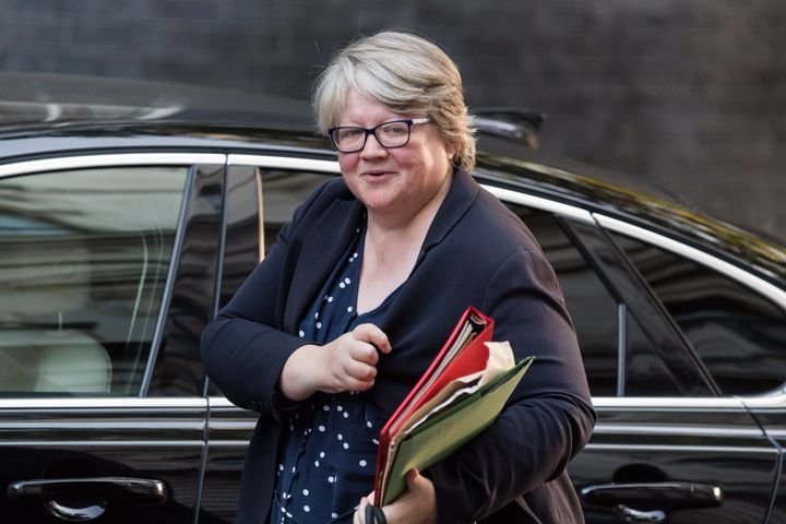 Therese Coffey voted against banning smoking in cars with children, which has been the law since 2015.