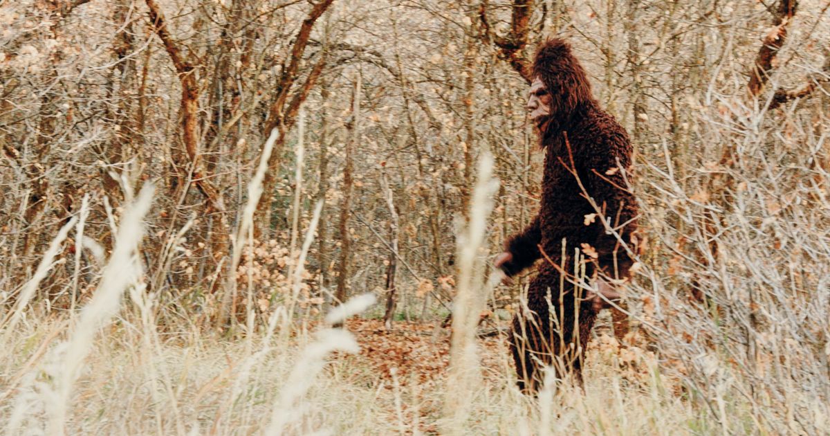 Pennsylvania Parks Officials Release Curious Statement About Bigfoot Warnings