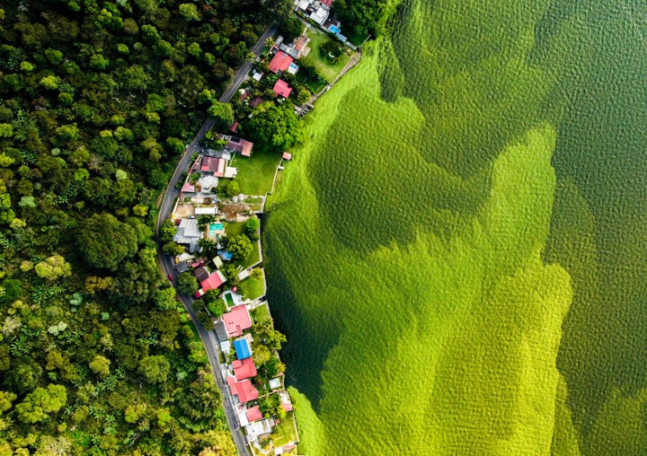 The dying lake by by Daniel Nunez, winner of the Wetlands - The Bigger Picture category. 