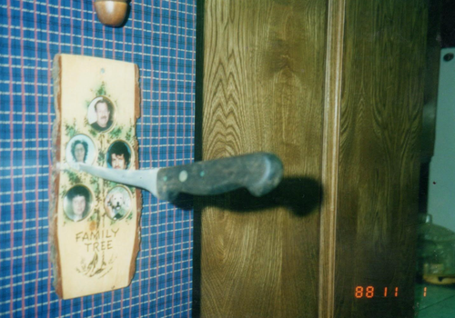 洋書 UNWELCOMED: The Moffitt Family Haunting 51hYo3sDhlL.jpg_BO30,255,255,