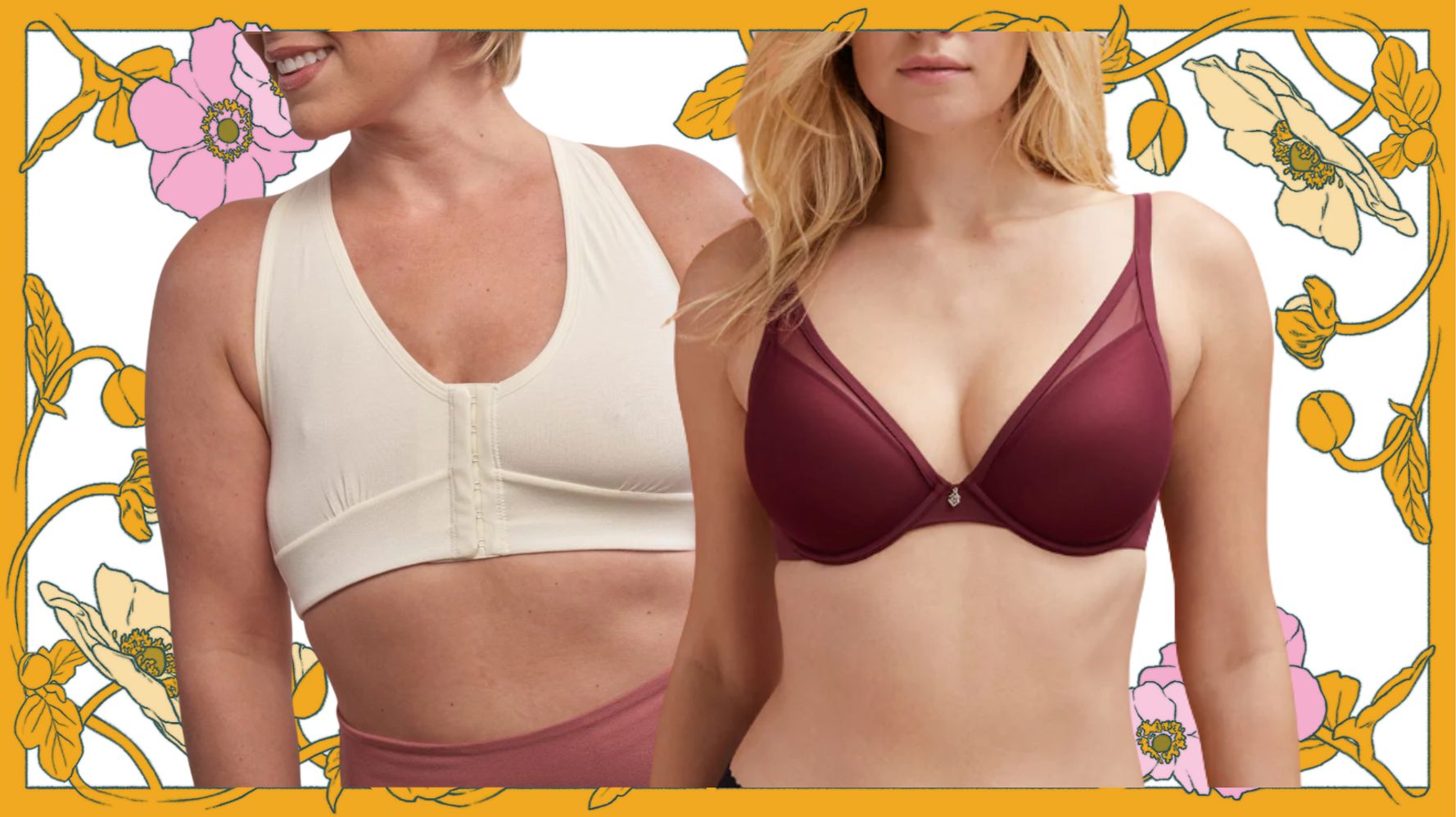 Types Bras. Kinds Vector & Photo (Free Trial)