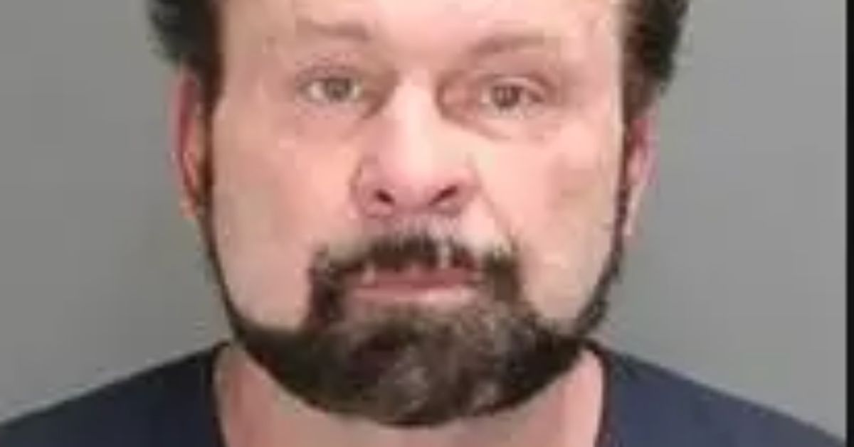 Michigan Home Inspector Convicted After Masturbating With Client's Elmo ...