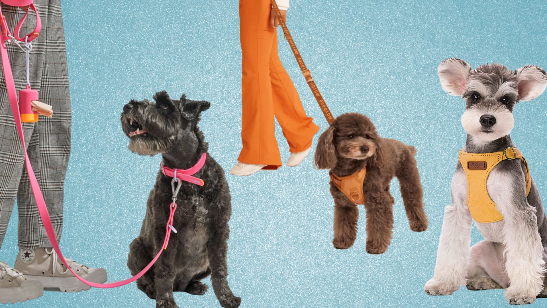 stylish leashes