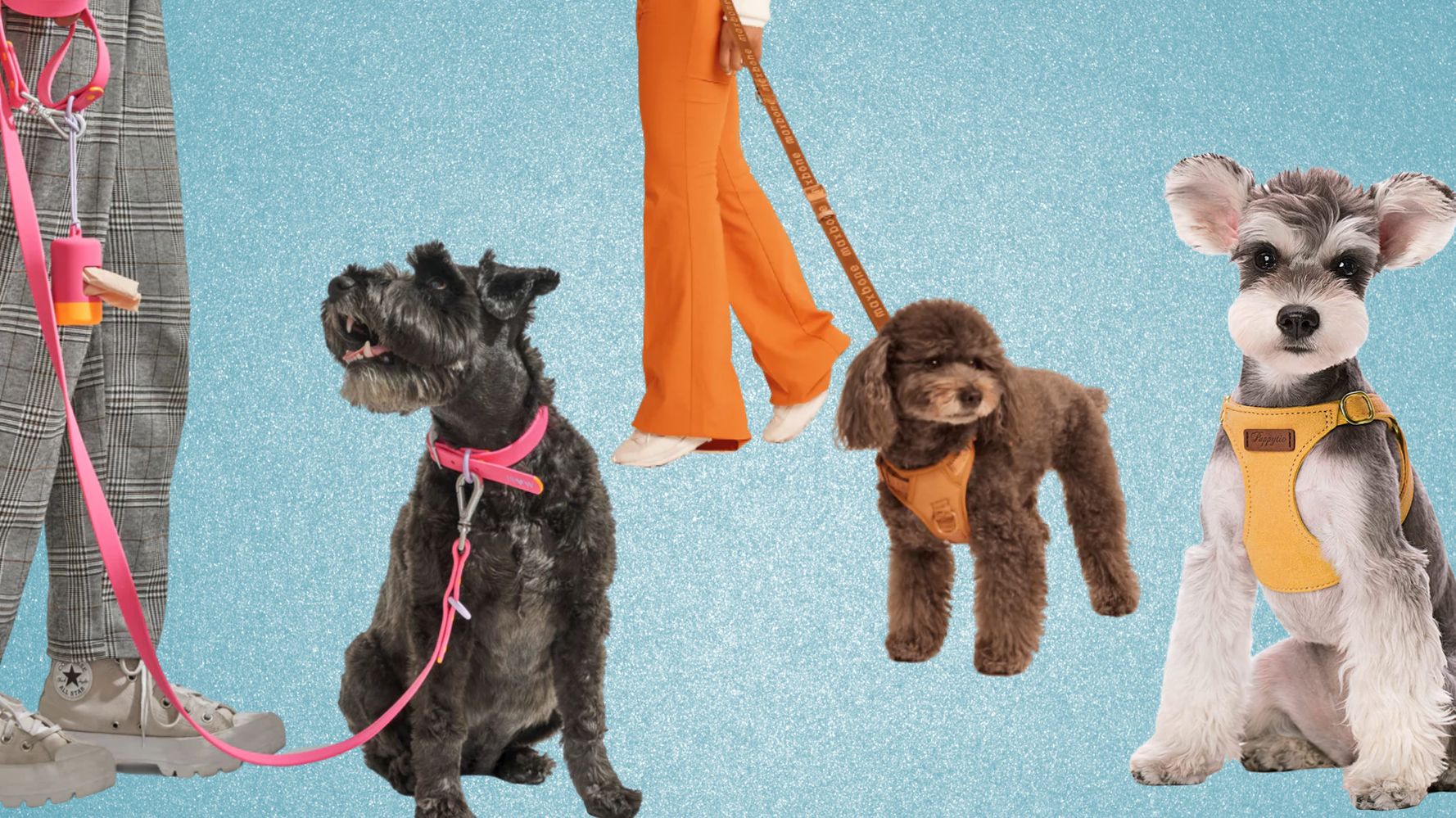 Elevate Pet Style: Designer Collar Harness Collection