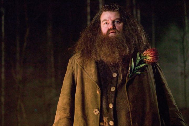 Robbie Coltrane in character as Hagrid
