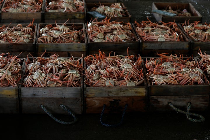 Freshly caught snow crabs in Japan in 2020.