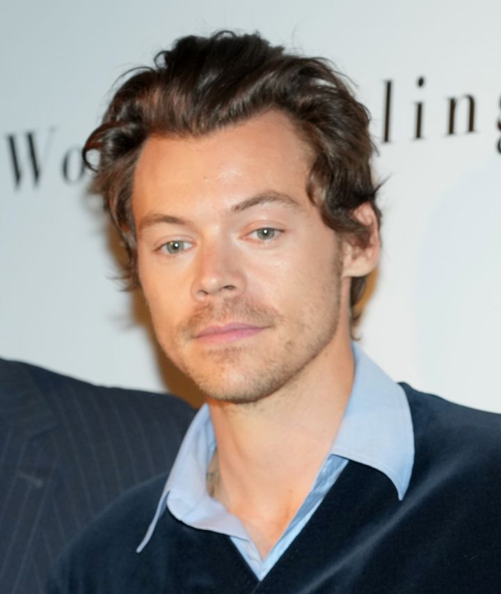 Harry at a Don't Worry Darling press event last month
