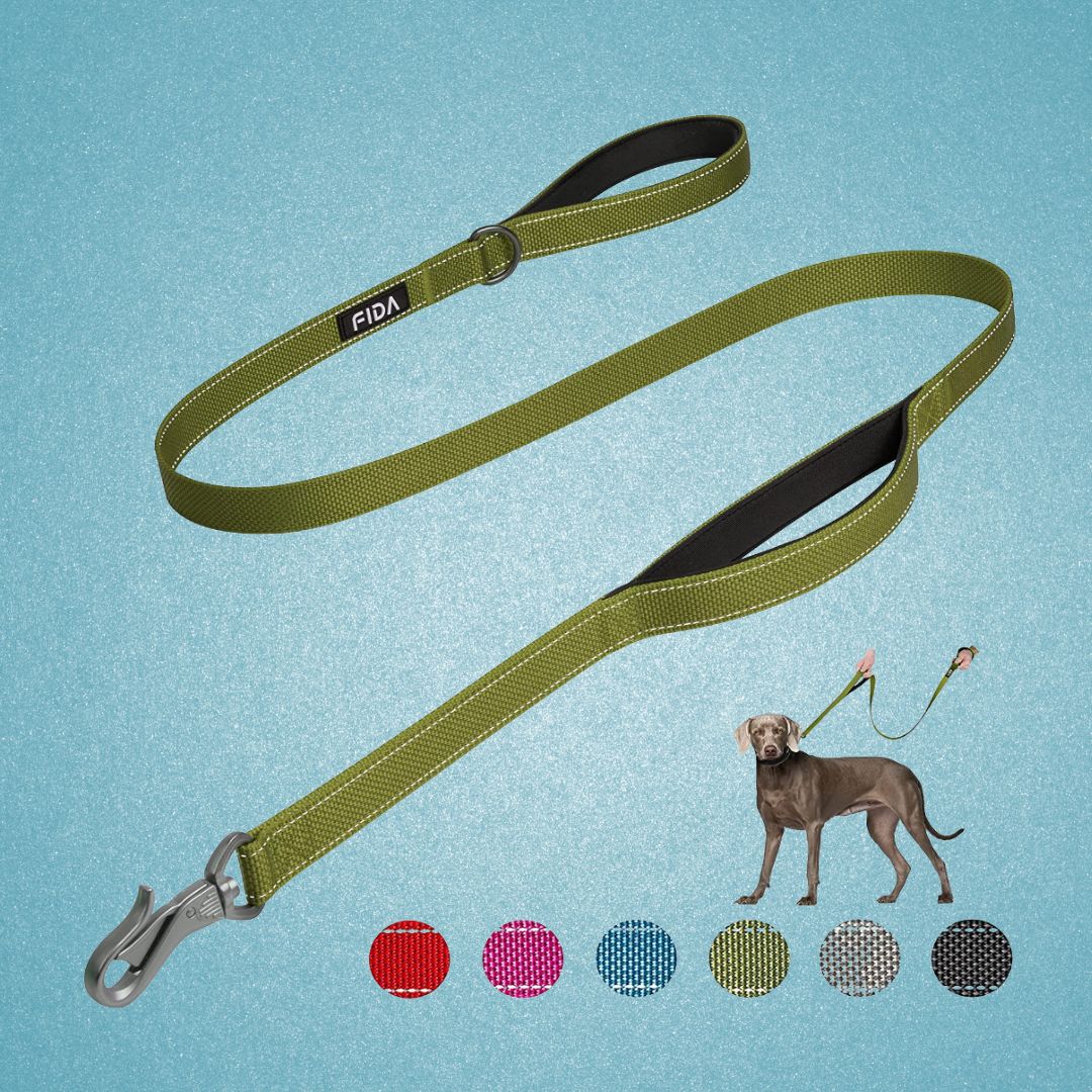 chic dog leash