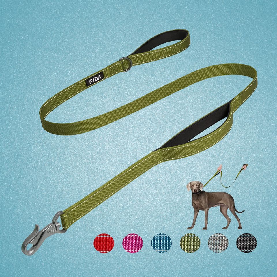 Cute & Safe Heavy Duty Dog Leash with Secure Hook. Adorable