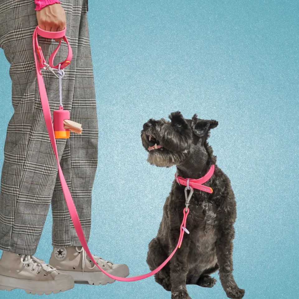 Stylish sales dog leashes