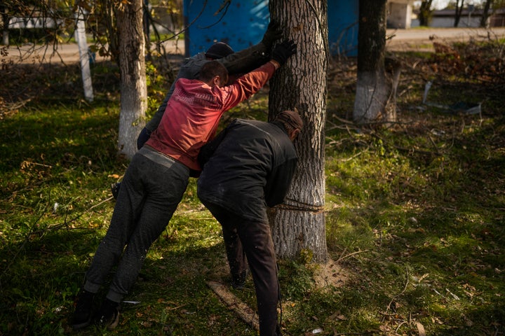 Local men cut down a tree for firewood in Kurylivka, Ukraine, on Oct. 16, 2022.