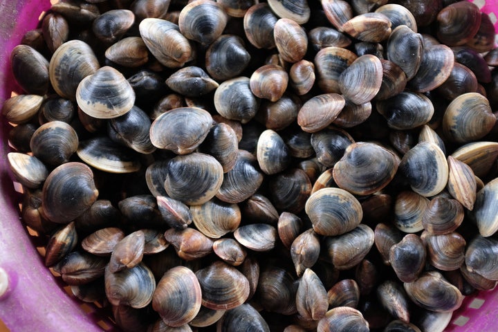The majority of Vibrio infections are caused by eating raw or undercooked oysters or other shellfish, according to the CDC.