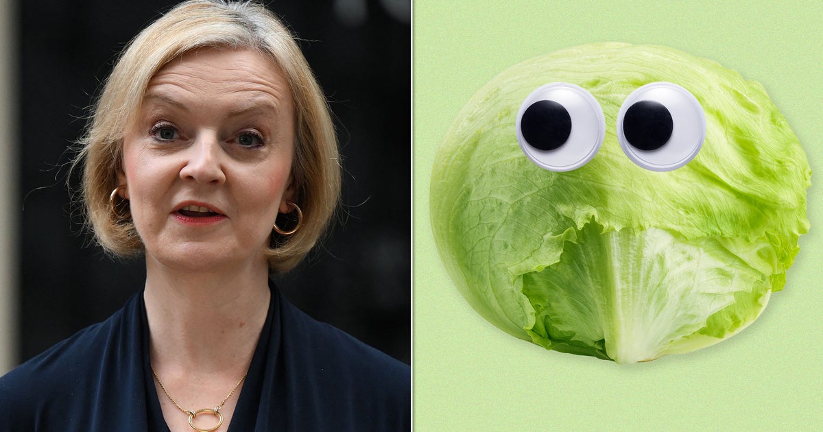 The Lettuce Outlasted Liz Truss The Lettuce Outlasted Liz Truss
