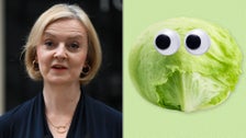 The Lettuce Outlasted Liz Truss The Lettuce Outlasted Liz Truss
