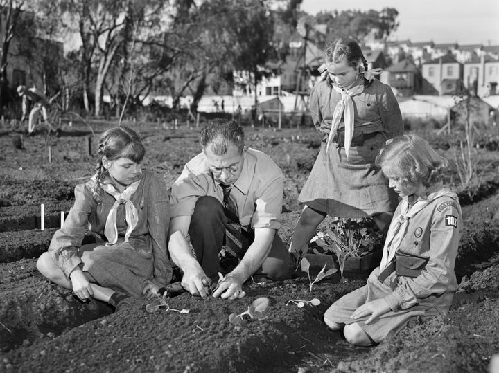 Harry Nelson helps his Girl Scout daughter and their friends plant a victory garden during the nation-wide Food for Victory Campaign in San Francisco, California, in February 1943.