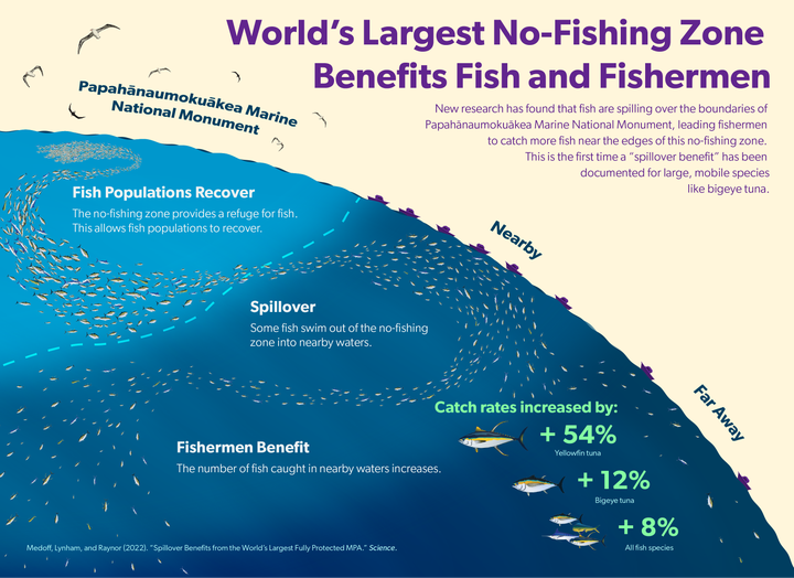 “The data is literally being collected on board the fishing boats,” said study co-author John Lynham, a professor at the University of Hawaiʻi at Mānoa.