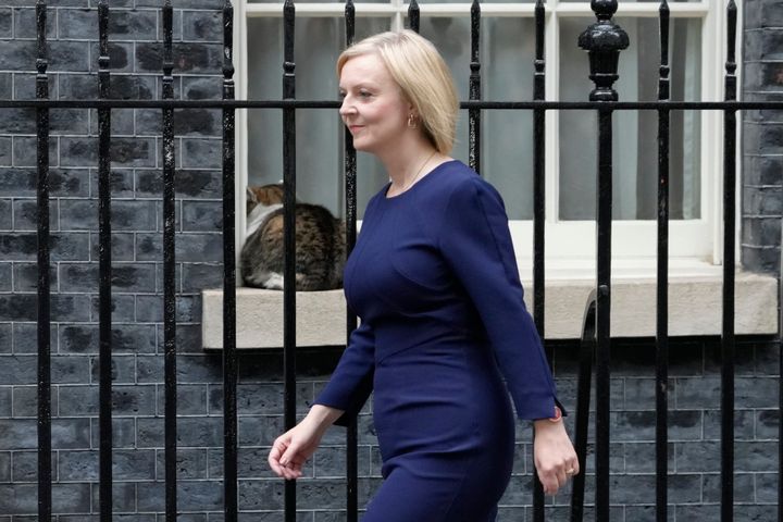 Larry sits in the window with his back turned to Prime Minister Liz Truss in September.
