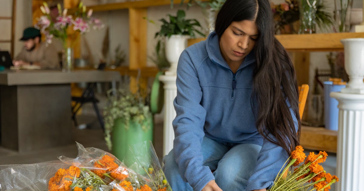 Chicago's Mexican American Entrepreneurs Have The Antidote To Gentrification - Vimarsana News