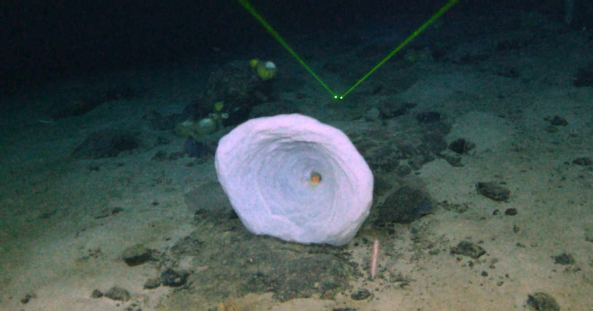 Mysterious ‘Large Object’ Detected Near Titanic Wreck Finally Identified Mysterious ‘Large Object’ Detected Near Titanic Wreck Finally Identified