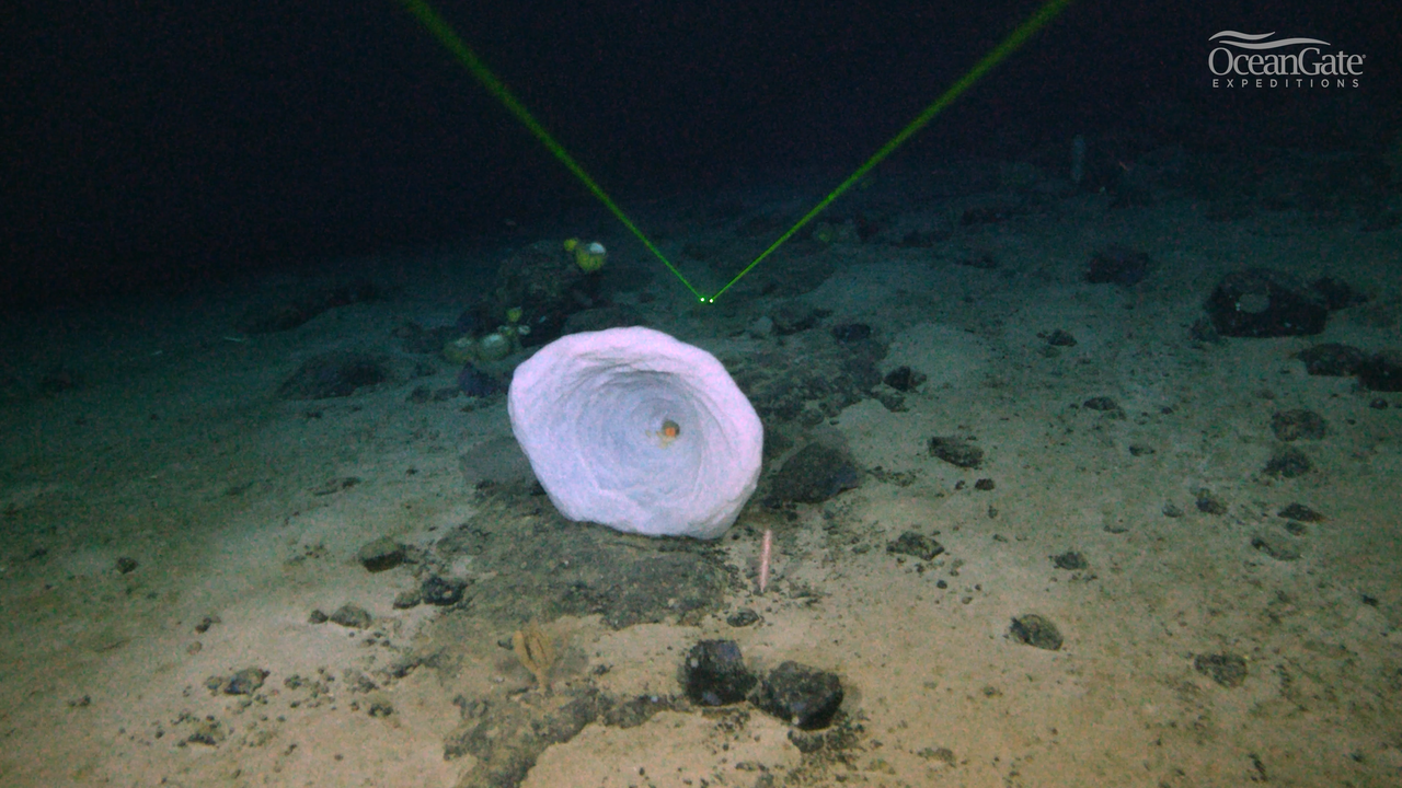 Detalle de la cresta Nargeolet-Fanning cerca del naufragio del Titanic.