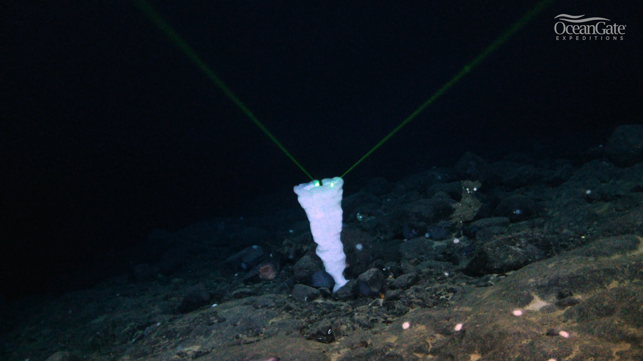 Detalle de la cordillera de Nargeolet-Fanning, cerca del naufragio del Titanic.