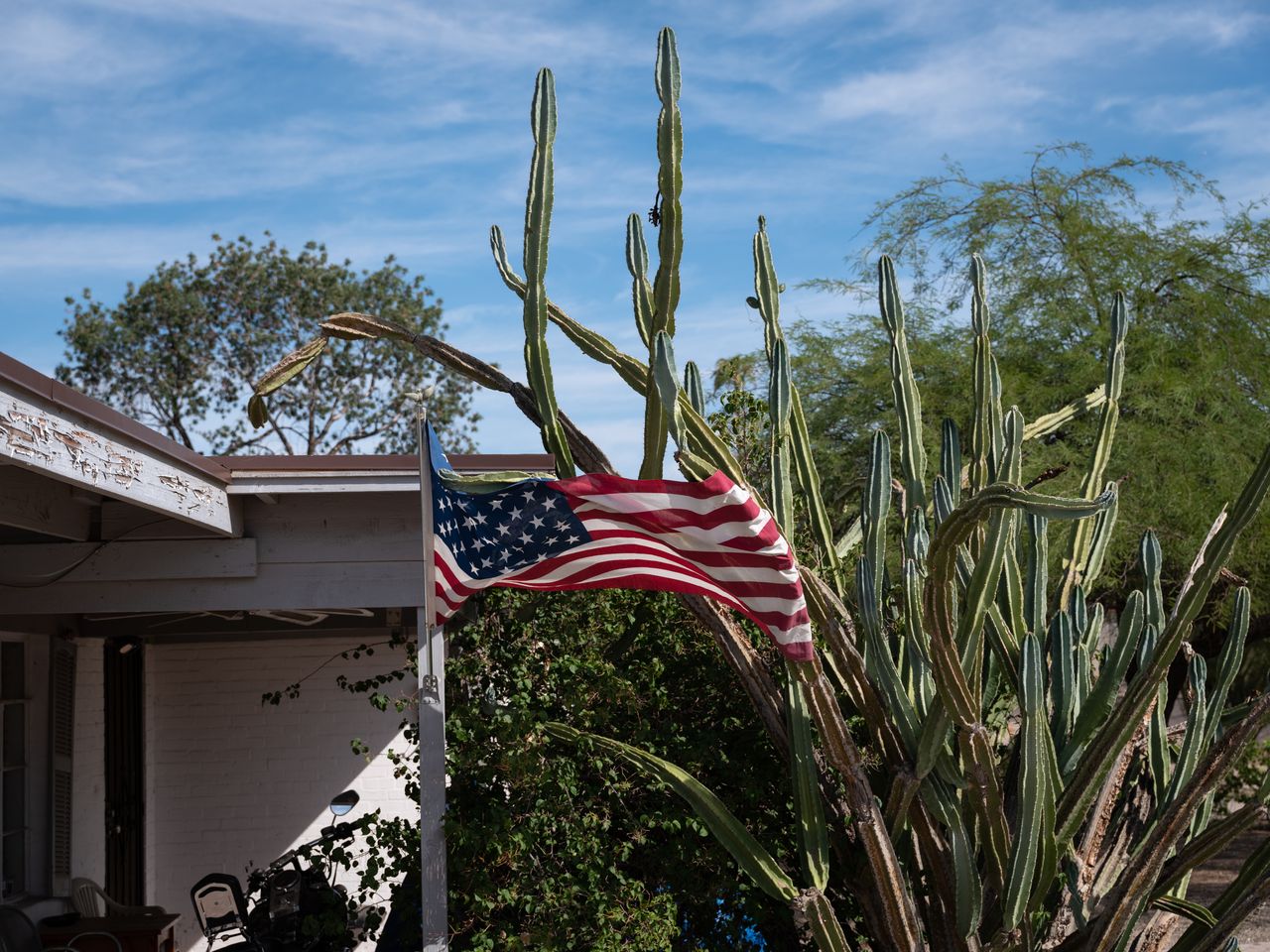 An American flag is caught in the spines of a cactus outside a home in Phoenix.