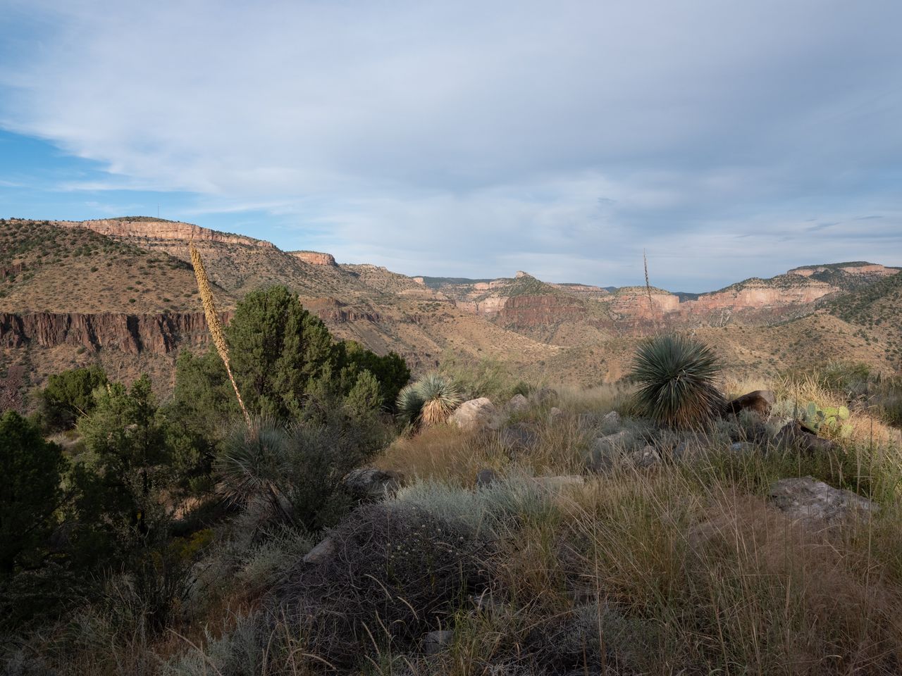 Looking out over the Salt River Canyon on the White Mountain Apache Reservation.